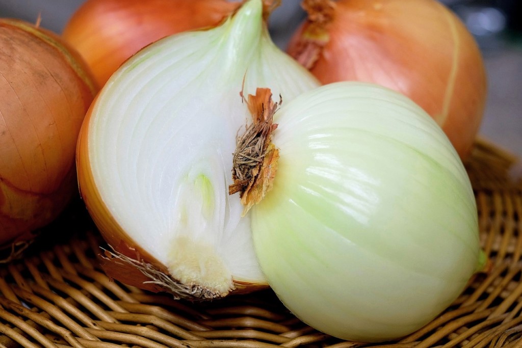 หอมหัวใหญ่ (Onion)