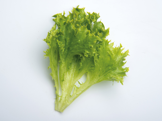 Eazyleaf Green
